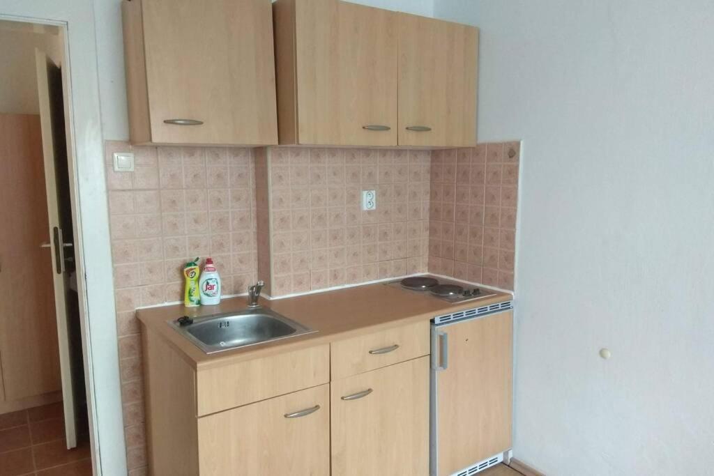 Apartment V Centru